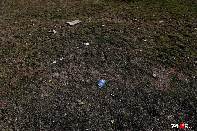 Нечистоплотностью страдают и собачники. Будьте аккуратней | Источник: Наталья Лапцевич