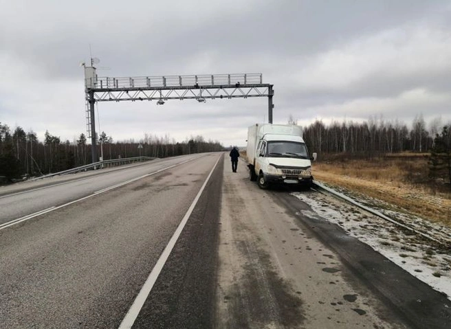 В Скопинском районе водитель «Газели» умер за рулем | ya62.ru