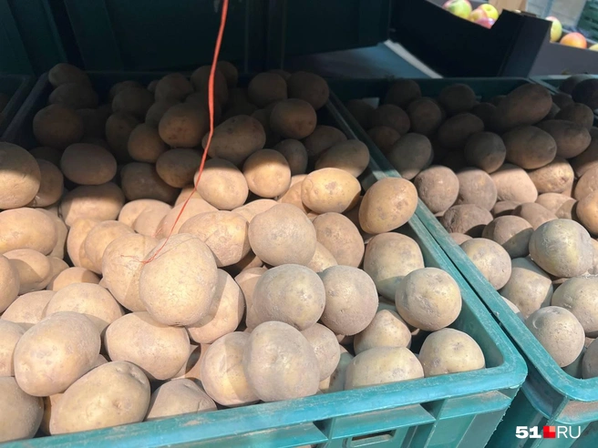 Цены в магазинах разные | Источник: Александра Балаба