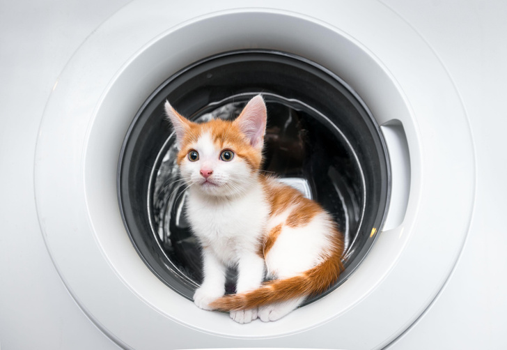 7 вещей, которые ни за что нельзя стирать в стиральной машине — с ними не рискуйте!