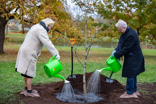 В Царском Селе — непростые посадки, за лопату взялся Михаил Пиотровский | Источник: ГМЗ «Царское Село»