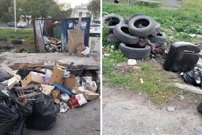 Омичка пожаловалась на свалку и крыс у «Темпа»