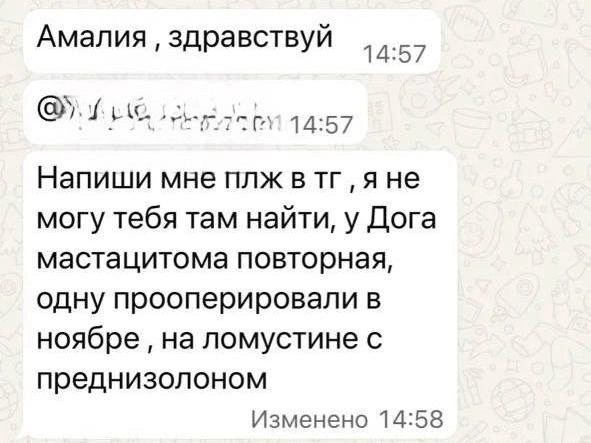 Источник: Читатель 161.RU
