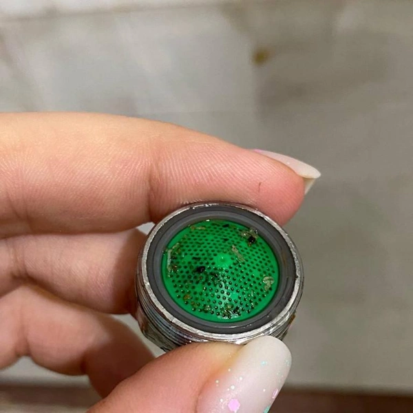 Источник: читательница Елизавета / 47news