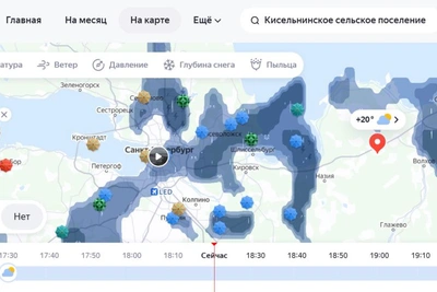Дороги Петербурга стали реками из-за ливня