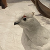 userpic__Надежда Горелкина
