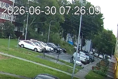 В Нижнекамске ветер повалил дерево на две машины — видео