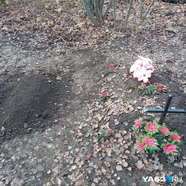 Источник: Анастасия Фокина / YA62.RU