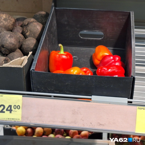 Цены на овощи в местном продуктовом магазине | Источник: Мария Борзева / YA62.RU