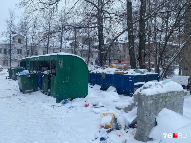Строительный бак довольно быстро закидали мусором | Источник: читатели 76.RU
