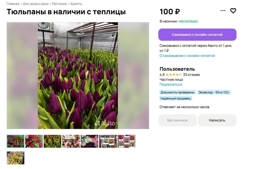 Как и здесь. Нужное количество тюльпанов срежут для вас на заказ | Источник: Avito.ru