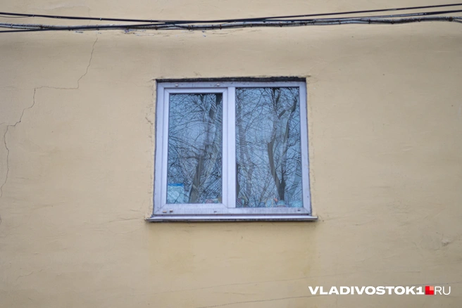 Источник: Елена Буйвол / VLADIVOSTOK1.RU
