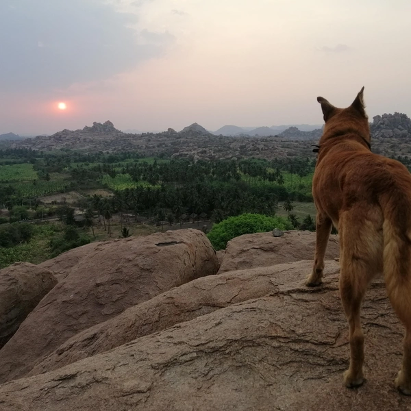С тех пор они путешествуют вместе | Источник: личный архив Ильи Морозова