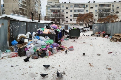 Челябинцы жалуются на переполненные мусорные контейнеры