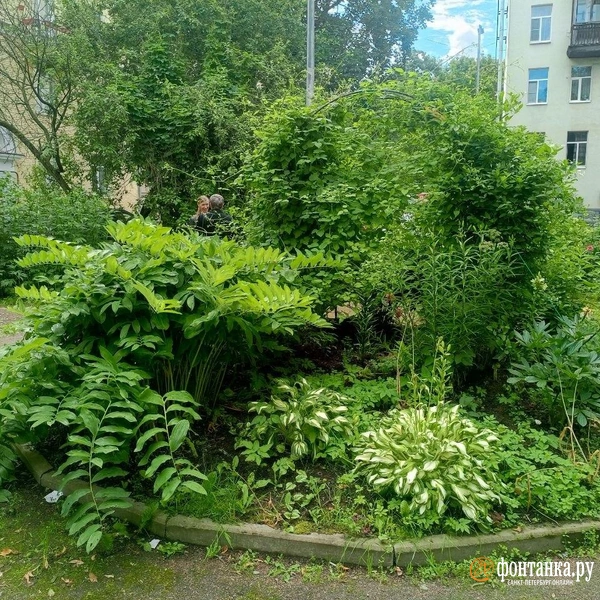 Источник: Ирина Корбат / FONTANKA.RU