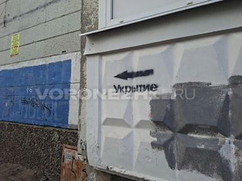 Источник: Алёна Воропаева / Voronezh1.ru