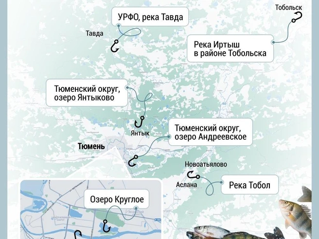 Среди популярных у рыболовов мест выделяются озеро Круглое и река Тура. | Источник: Дмитрий Гладышев / 72.RU