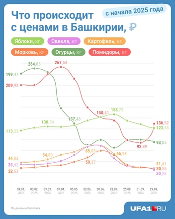 Источник: Серафима Пантыкина / Городские медиа