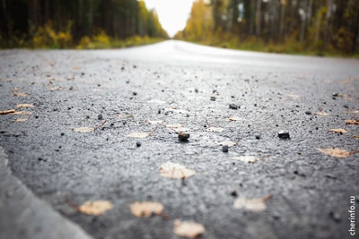 Подрядчик по гарантии отремонтирует дорогу на причалы