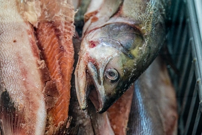 В Кузбассе изменились цены на популярные продукты