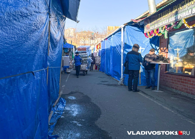 Источник: Елена Буйвол / VLADIVOSTOK1.RU