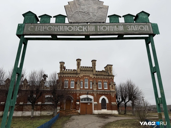 Немецкая псевдоготика конезавода тоже находится под угрозой гибели | Источник: Сергей Петунин / YA62.RU