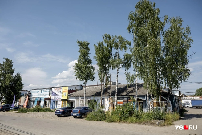 Одноэтажные магазинчики словно спрятались под березами | Источник: Александр Куренной / 76.RU