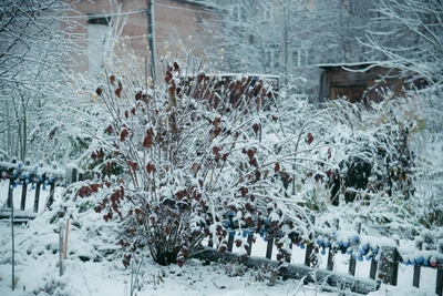 Морозы в Уфе не отступают: прогноз на 25 февраля