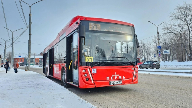 На 71-м маршруте теперь работают новые автобусы «МАЗ» | Источник: пресс-служба департамента транспорта Перми