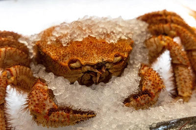 Суд оштрафовал компанию зятя друга Путина за загрязнение бухты Троица