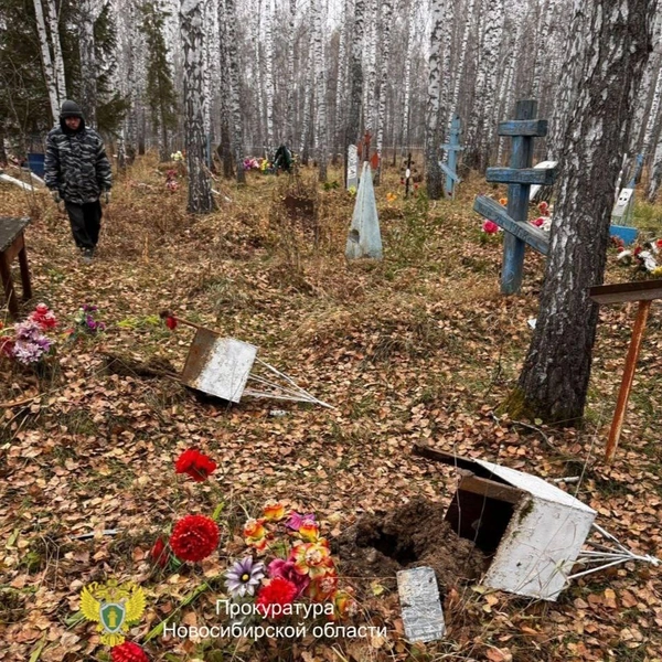 Источник: Прокуратура Новосибирской области / Telegram