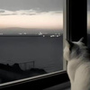 userpic__Lined Lo