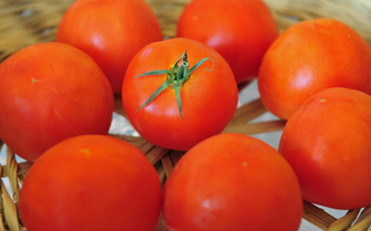 Почему томаты по-русски называются помидорами?