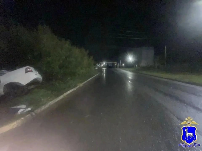 Водитель погиб, а его пассажирка получила травмы | Источник: ГУ МВД России по Самарской области