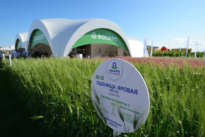В текущем году «ФосАгро-Сибирь» принимает участие в реализации пилотного проекта в рамках соглашения о сотрудничестве между «ФосАгро-Регион» и государственной комиссией Российской Федерации по испытанию и охране селекционных достижений | Источник: «ФосАгро-Регион»