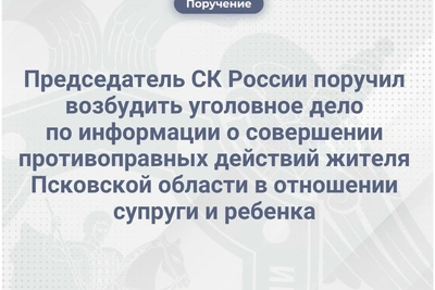 Бастрыкин поручил завести дело на блогера из Великих Лук
