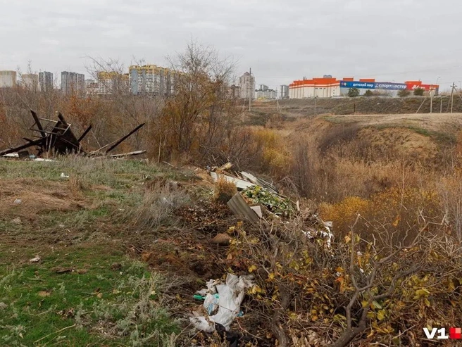 Природоохранная прокуратура выявила свалку у основания Мамаева кургана в ходе проведённой проверки. | Источник: Алексей Волхонский / V1.RU