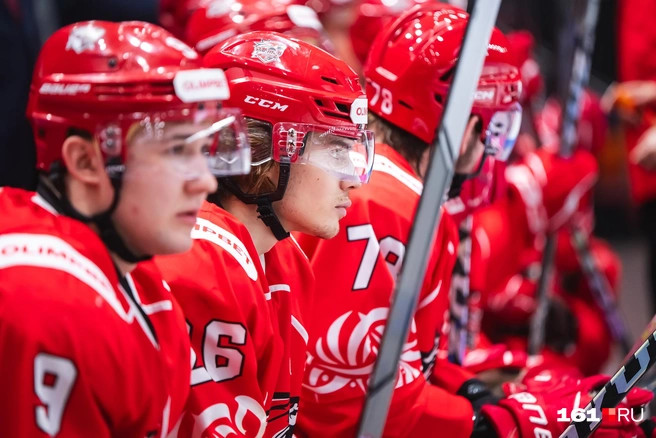 Источник: Евгений Вдовин / 161.RU