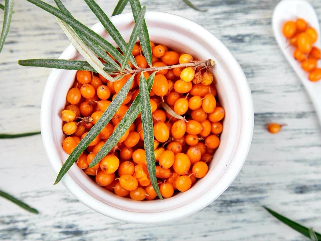 Чага, янтарь и другие локальные ингредиенты в российской косметике | marieclaire.ru