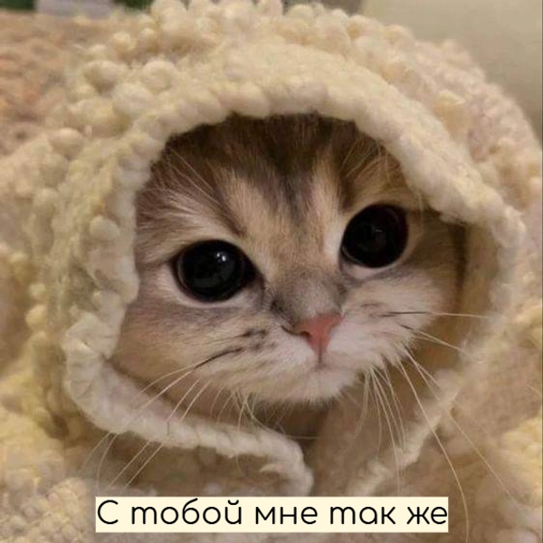 Источник: Социальные сети