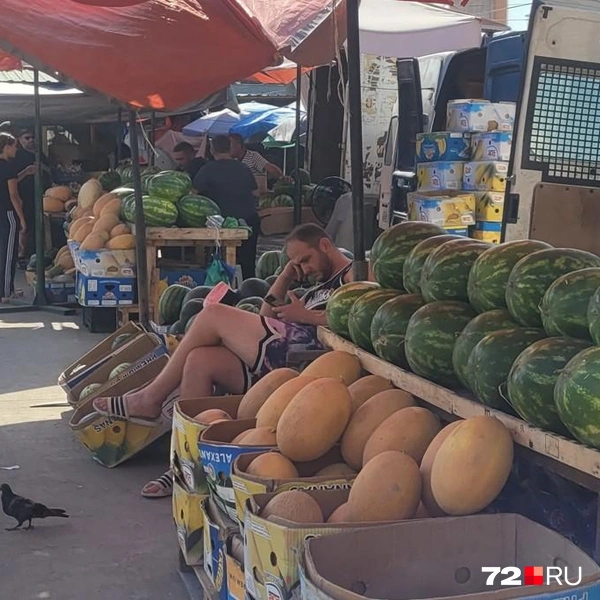 Источник: читатель 72.RU