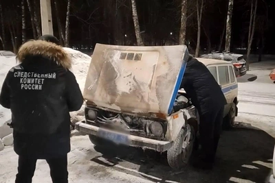 Новокузнечанке грозит до 5 лет за поджог машины полиции