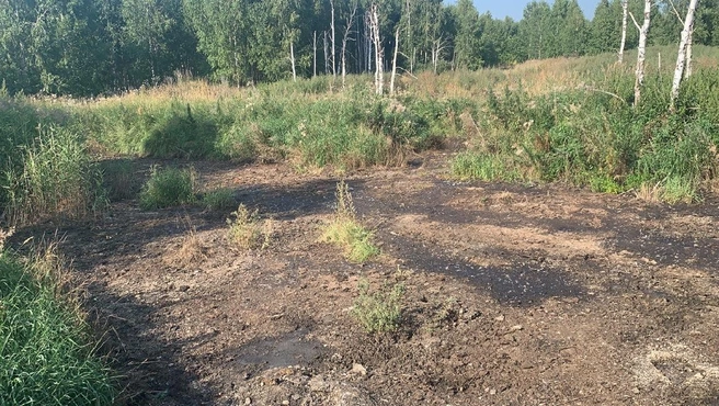 Пока решение о наказании принято только по складированию куриного помета на полях в Кунашакском районе | Источник: epp.genproc.gov.ru