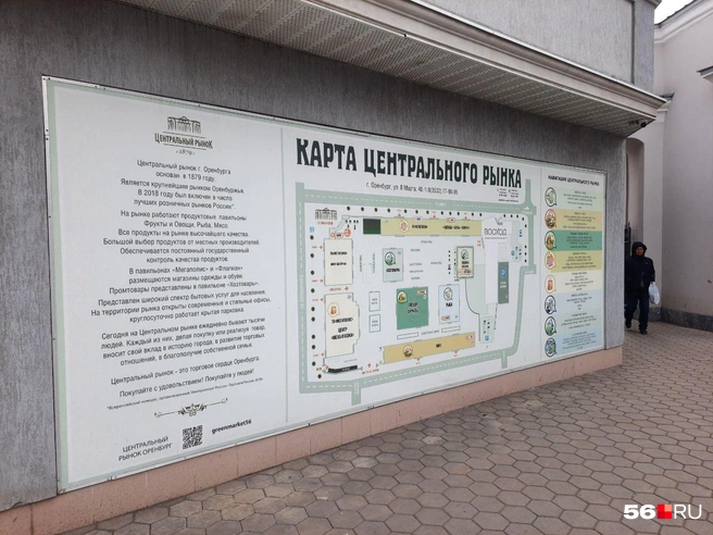 Источник: Анастасия Баринова / 56.RU