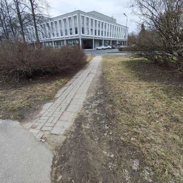 Сквер Петра Великого до благоустройства | Источник: ЕИС «Закупки»