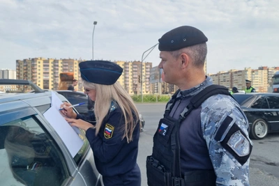 Автоледи из Пустошкинского района заплатила 77 тысяч штрафов