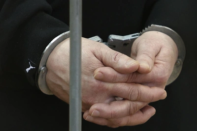 Депутата задержали из-за нападения собак на ребенка