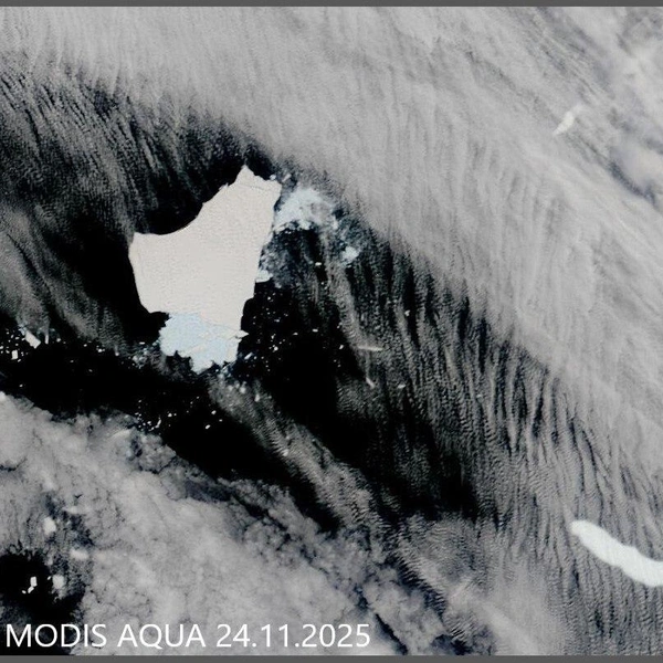 Источник: телеграм-канал Арктического и антарктического научно-исследовательского института
