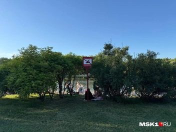 Один из прудов, где сейчас купаться запрещено, в Терлецком парке | Источник: Иветта Авраамова / MSK1.RU