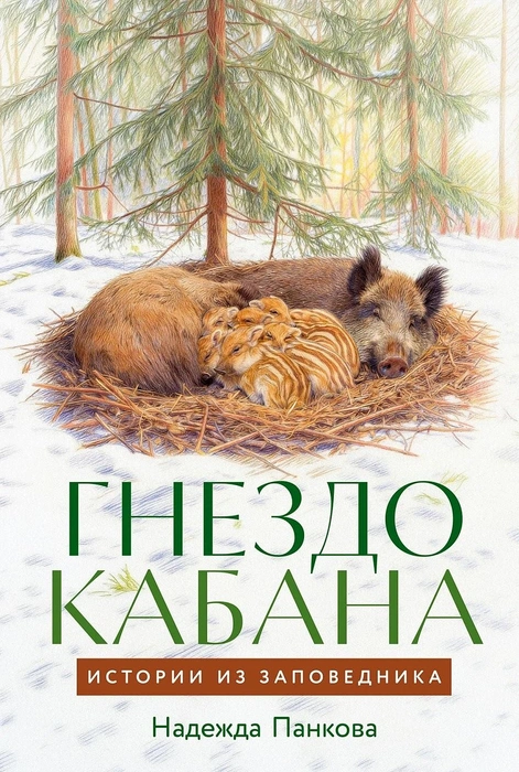 Источник: АНФ